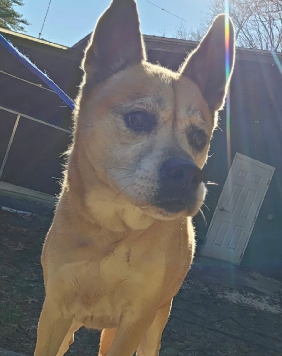 nala