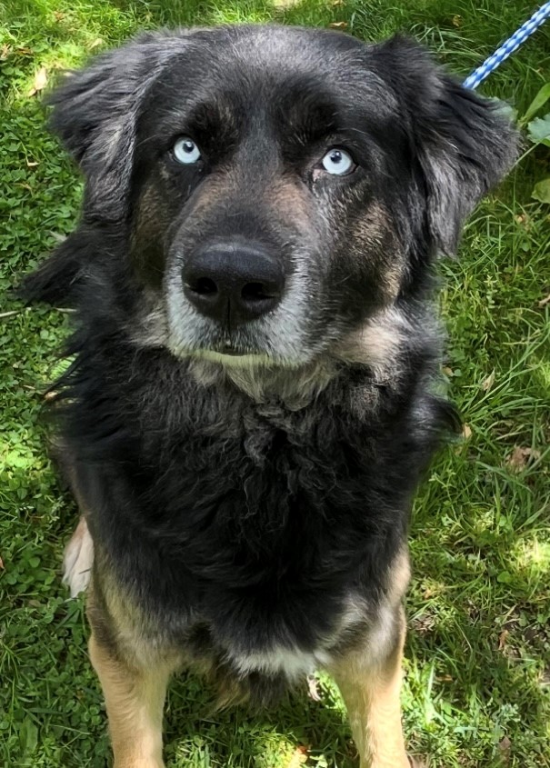 zeus