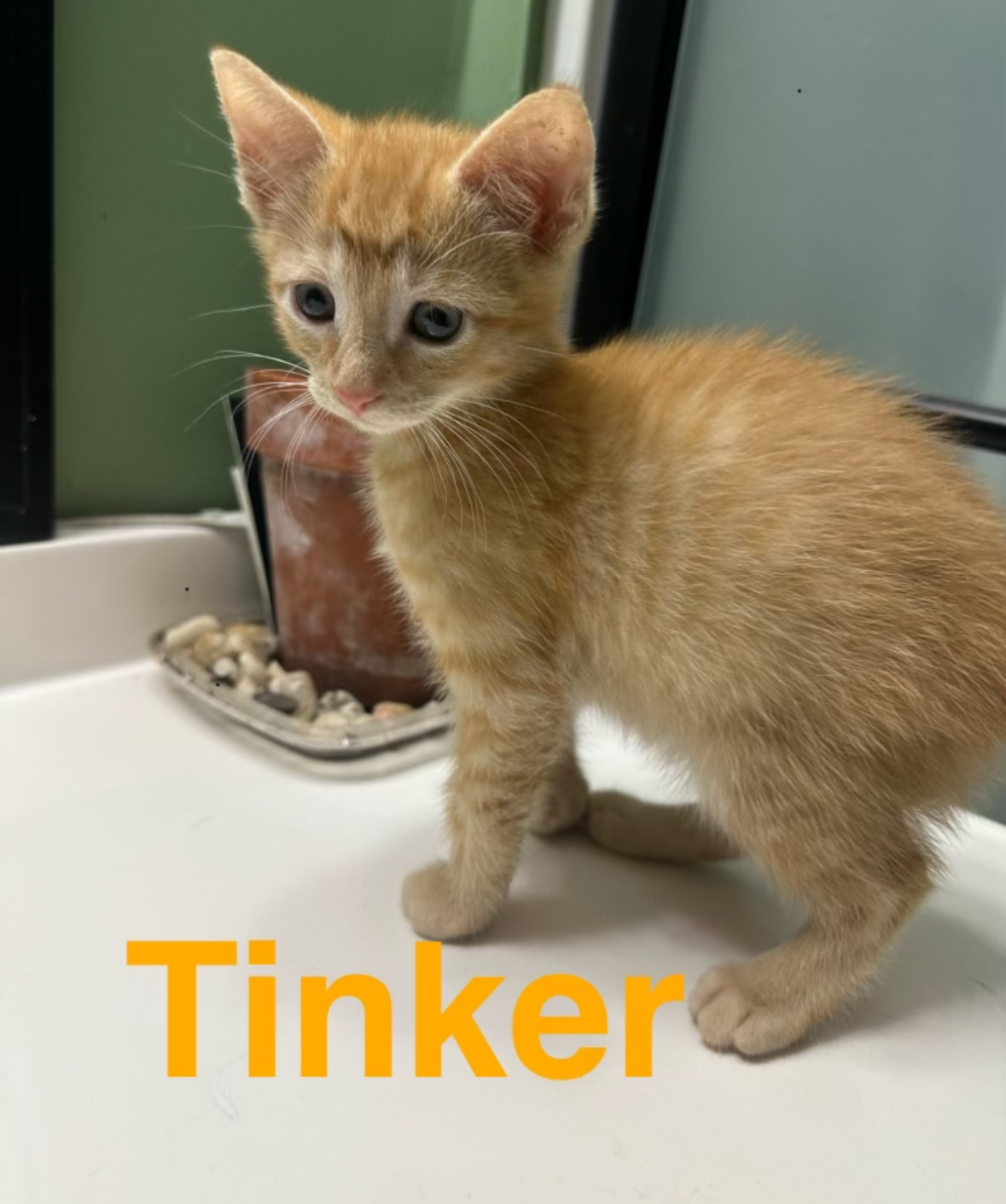 tinker