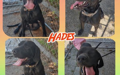 They call me Hades