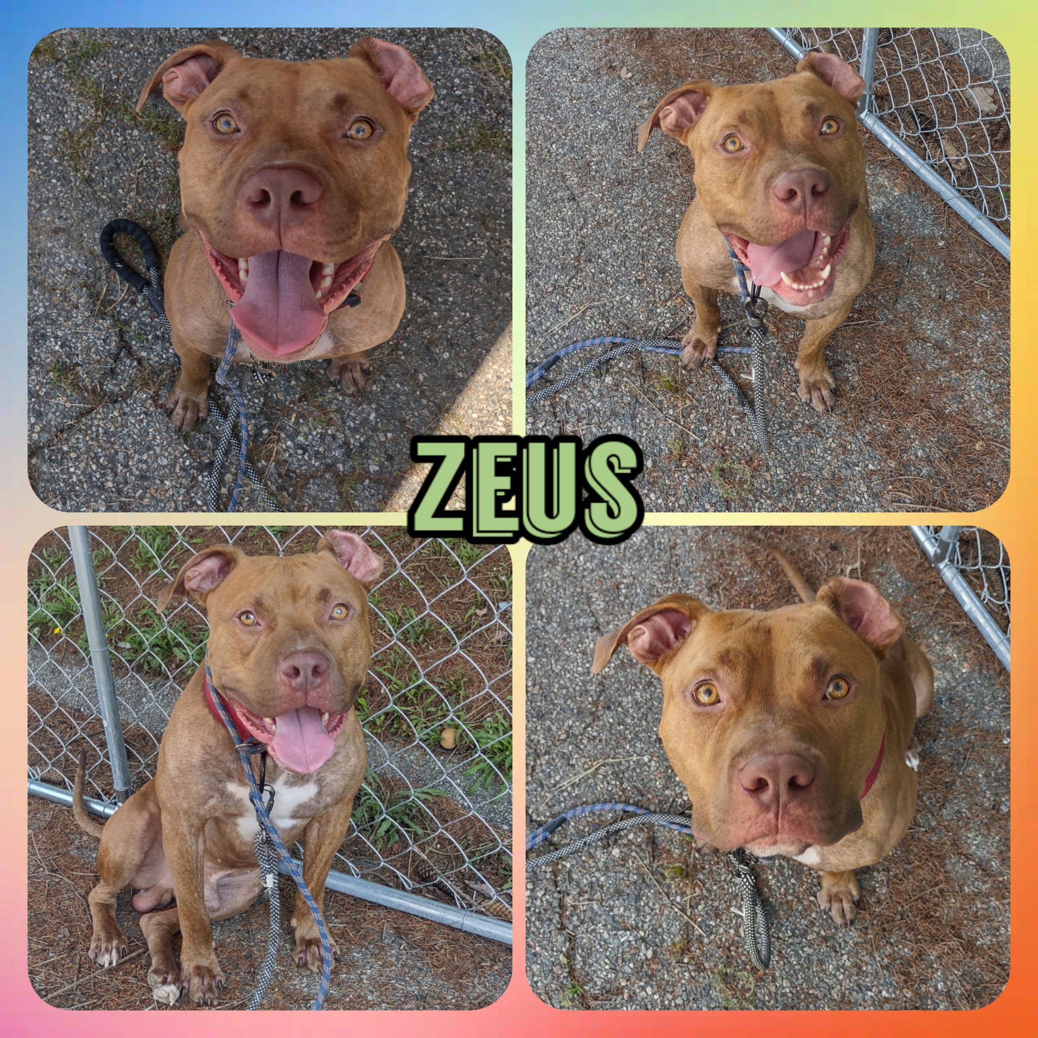 Zeus073025