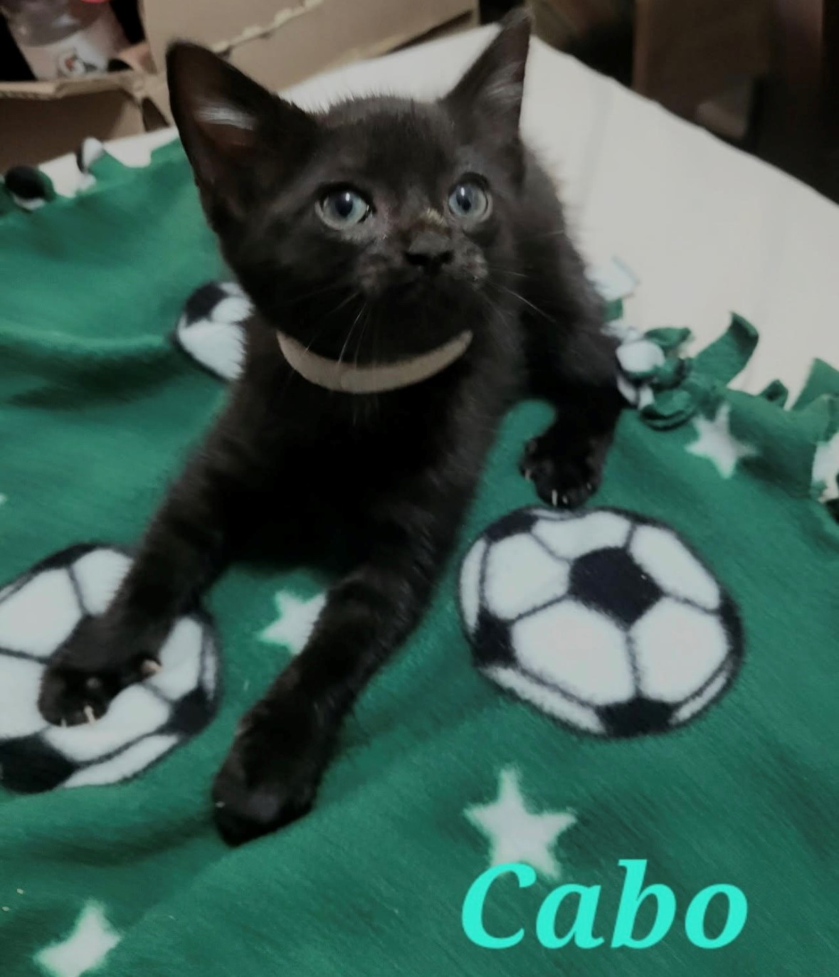 cabo