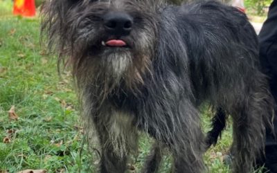Nacho
