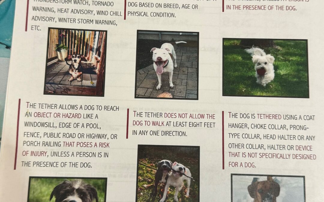 New Dog Chaining Laws