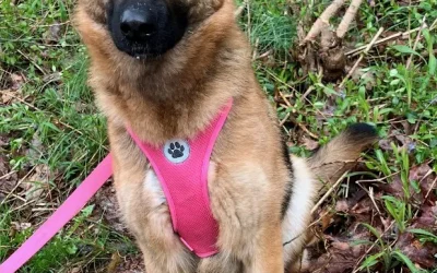 Freya