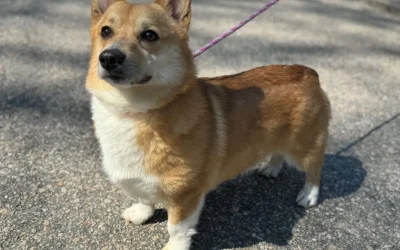 Winnie
