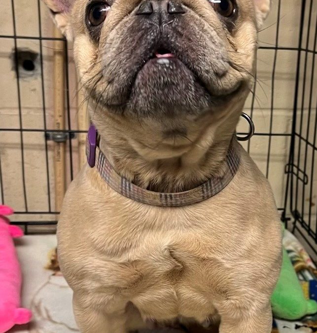 Chloe